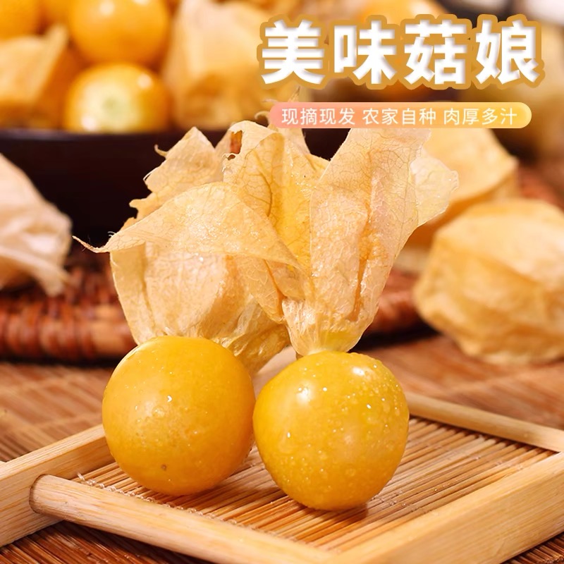 【黑龙江产地直发】东北姑娘果灯笼果新鲜采摘