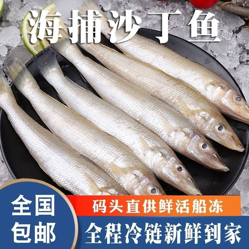 沙丁鱼新鲜冷冻海鲜烧烤食材大个沙丁鱼海鱼鲜活水产海鱼冰鲜野生