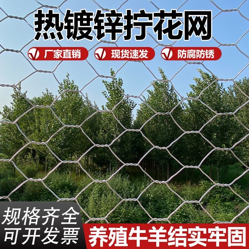 防锈铁丝网护栏网养殖牛羊猪围网拧花网羊圈子网果园防护网防撞网