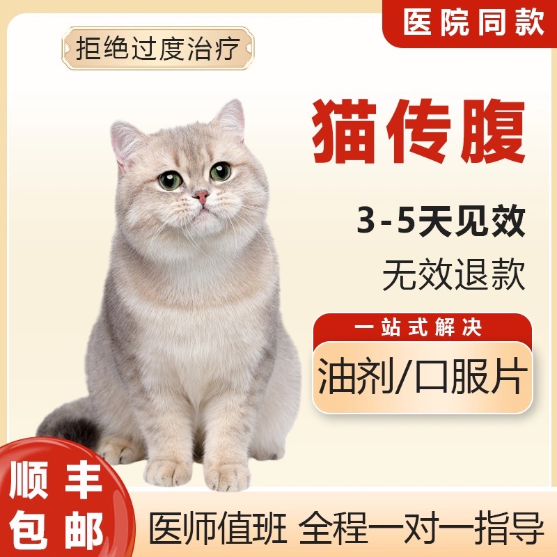 441猫传腹针剂治疗猫咪腹水411特效口服片剂药油剂干湿性