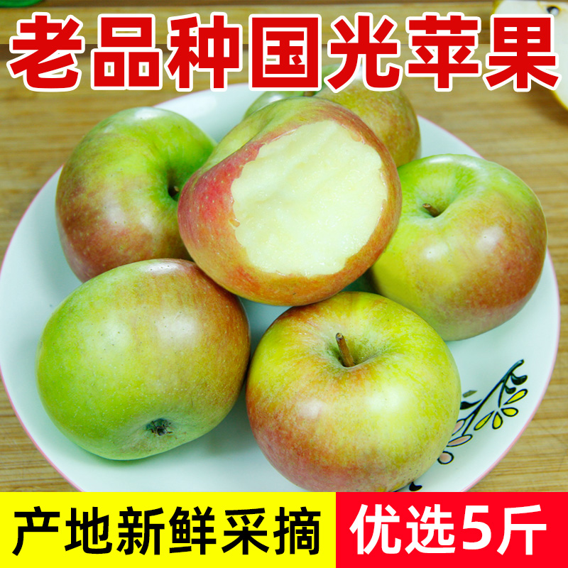 辽南小国光苹果5斤包邮新鲜水果正宗东北老品种瓦房店酸甜小果光