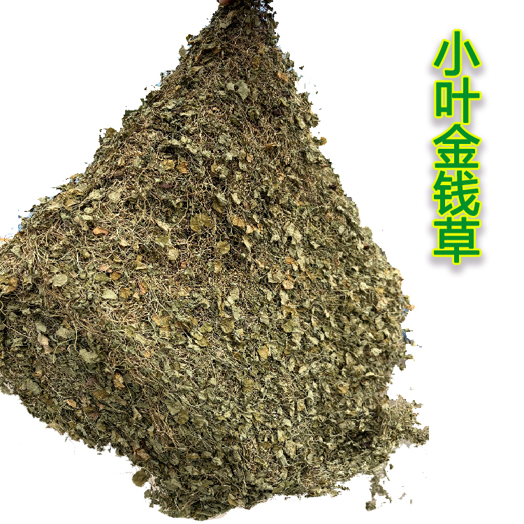小叶金钱草马蹄金蔬菜根茎江西