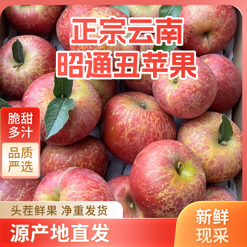 2云南昭通优选丑苹果当季现摘新鲜脆甜多汁净重包邮