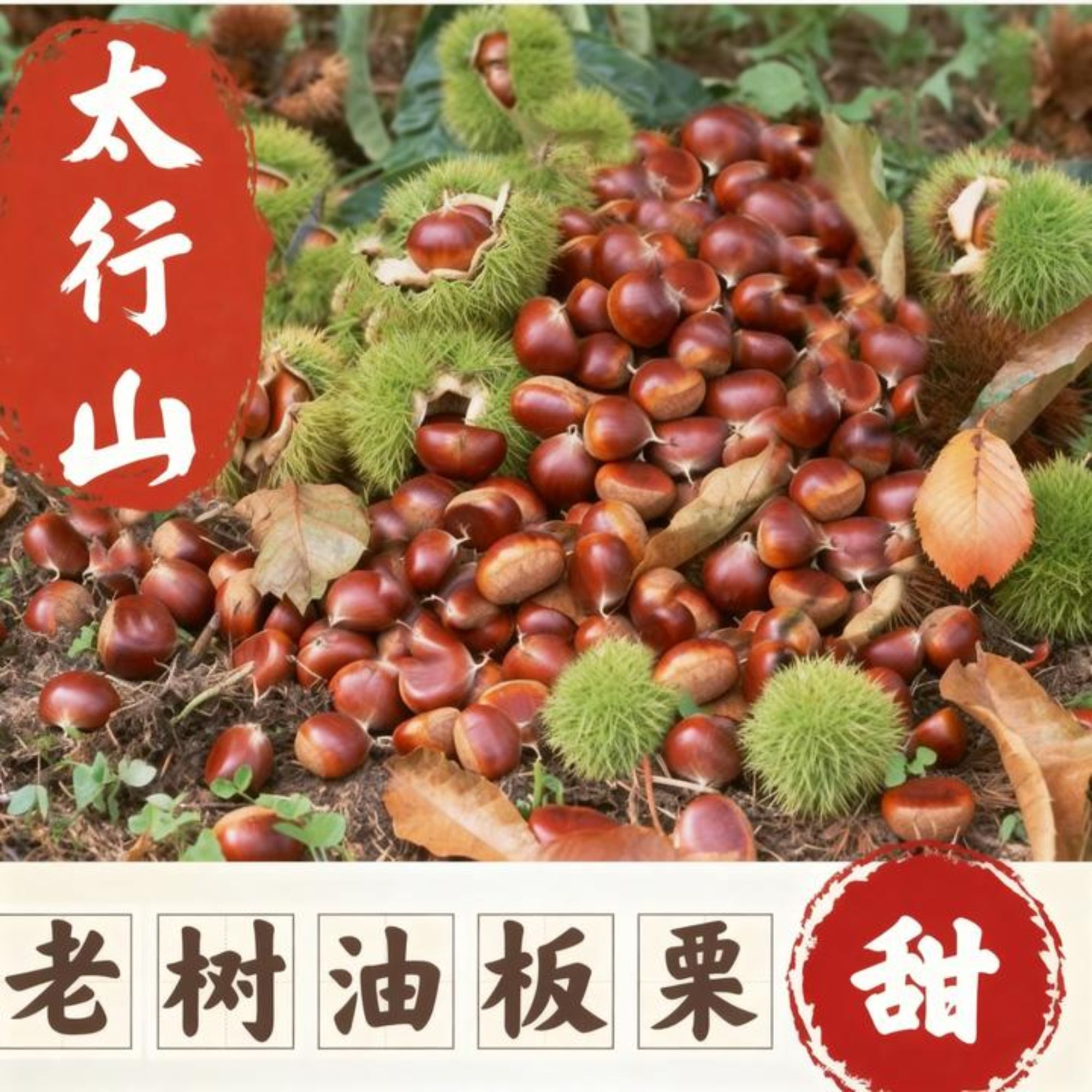 【坏果包赔】25年新鲜太行山油板栗迁西老树栗子香甜软糯3斤5斤包邮