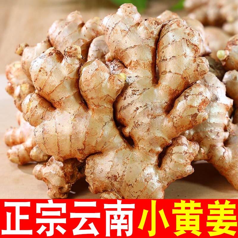 正宗云南小黄姜生姜老姜批发嫩姜黄姜沙姜新鲜生姜产地直销