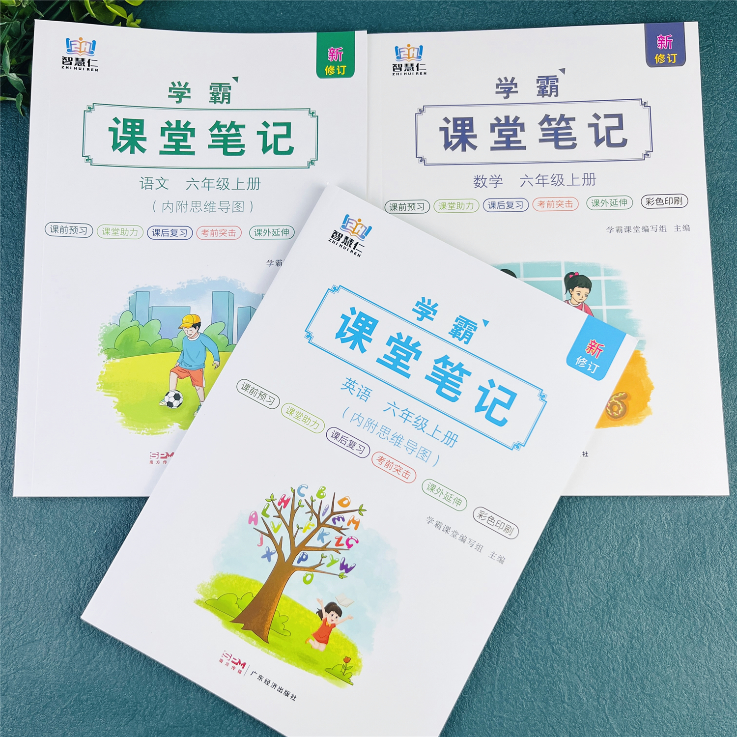 六年级上册课堂笔记预习辅导课本随堂笔记教材全解学霸笔记