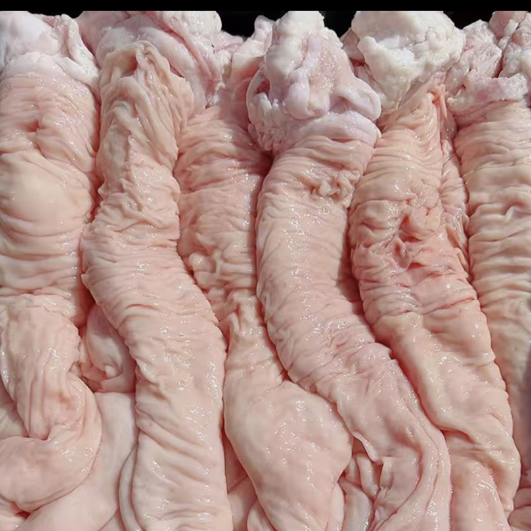 猪大肠头红烧囱煮饭店批发美食食材顺丰包邮新鲜鲜冻肥肠猪肠头