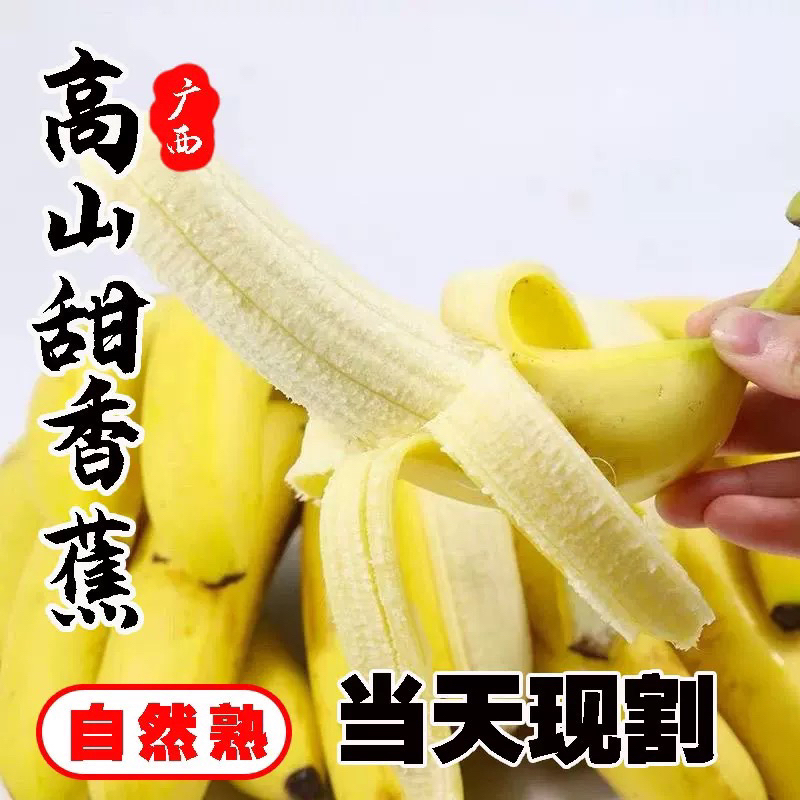 【粉丝福利】广西农家高山绿皮大香蕉产地直发独立包装时令新鲜水果
