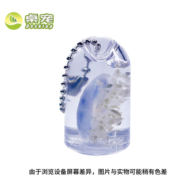 彩色水母标本挂件真水母海洋宠物学生儿童书包创意钥匙扣礼品物