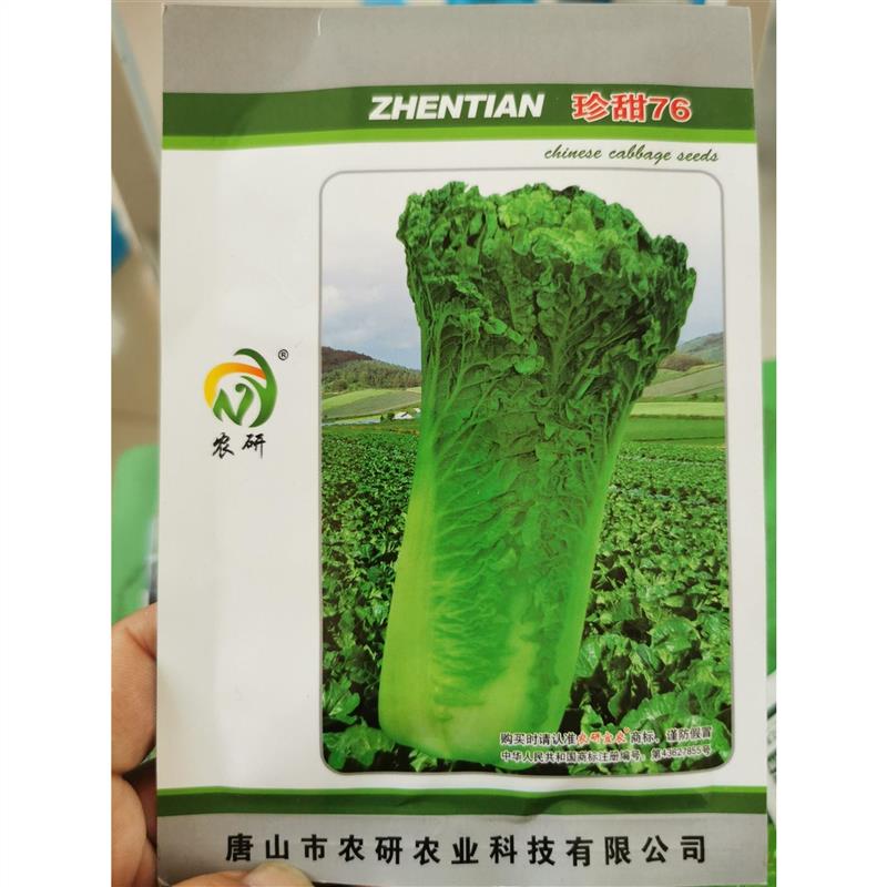 珍甜76（农研76）水果白菜种子（包装随机发）大白菜