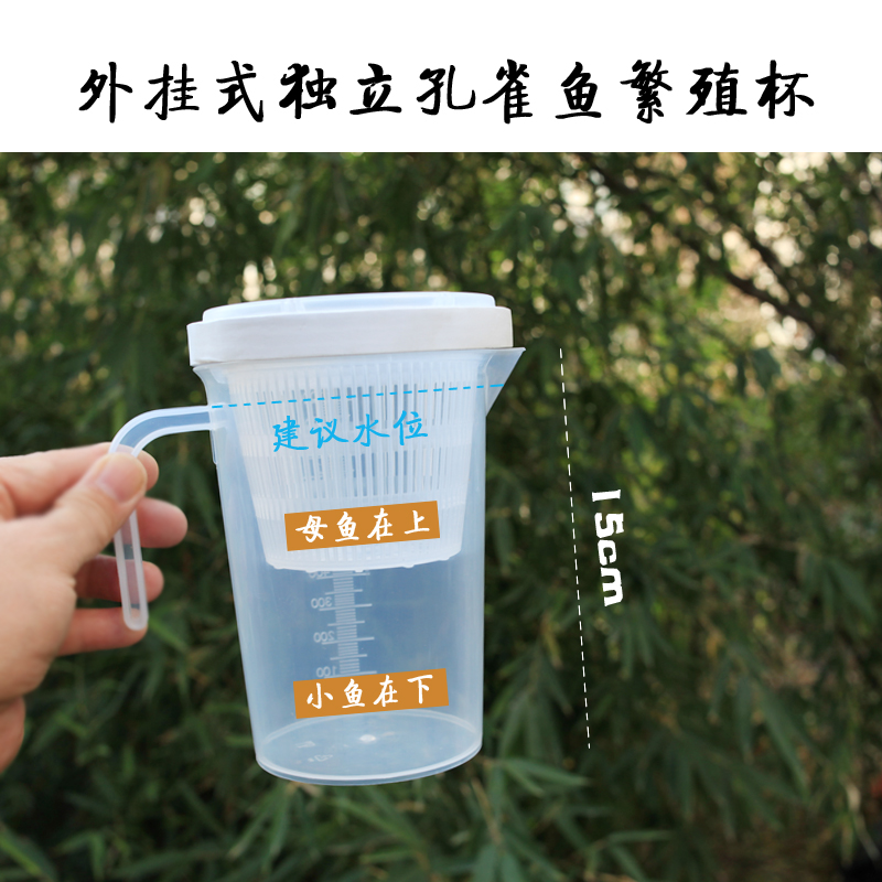孔雀鱼独立缸外繁殖隔离杯母鱼小鱼隔离盒单独不坏水内外两用产房