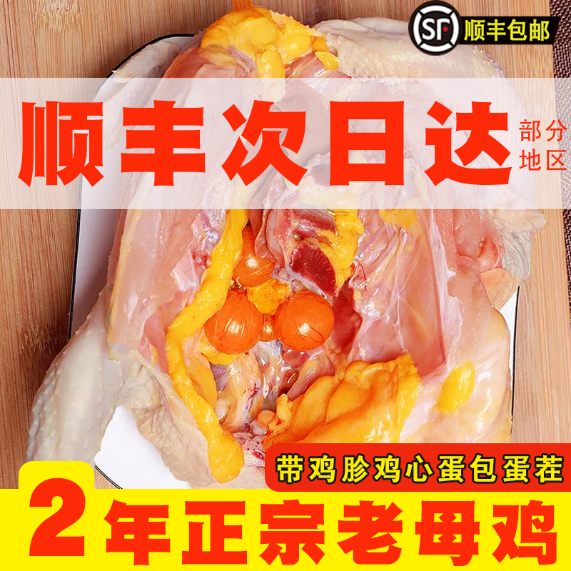 2年老母鸡农家散养走地鸡草鸡笨鸡月子鸡整只装新鲜现杀正宗土鸡
