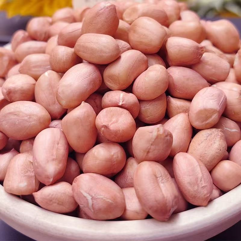 2025年新上市5斤新鲜大颗粒生花生米精选白沙花生米3斤