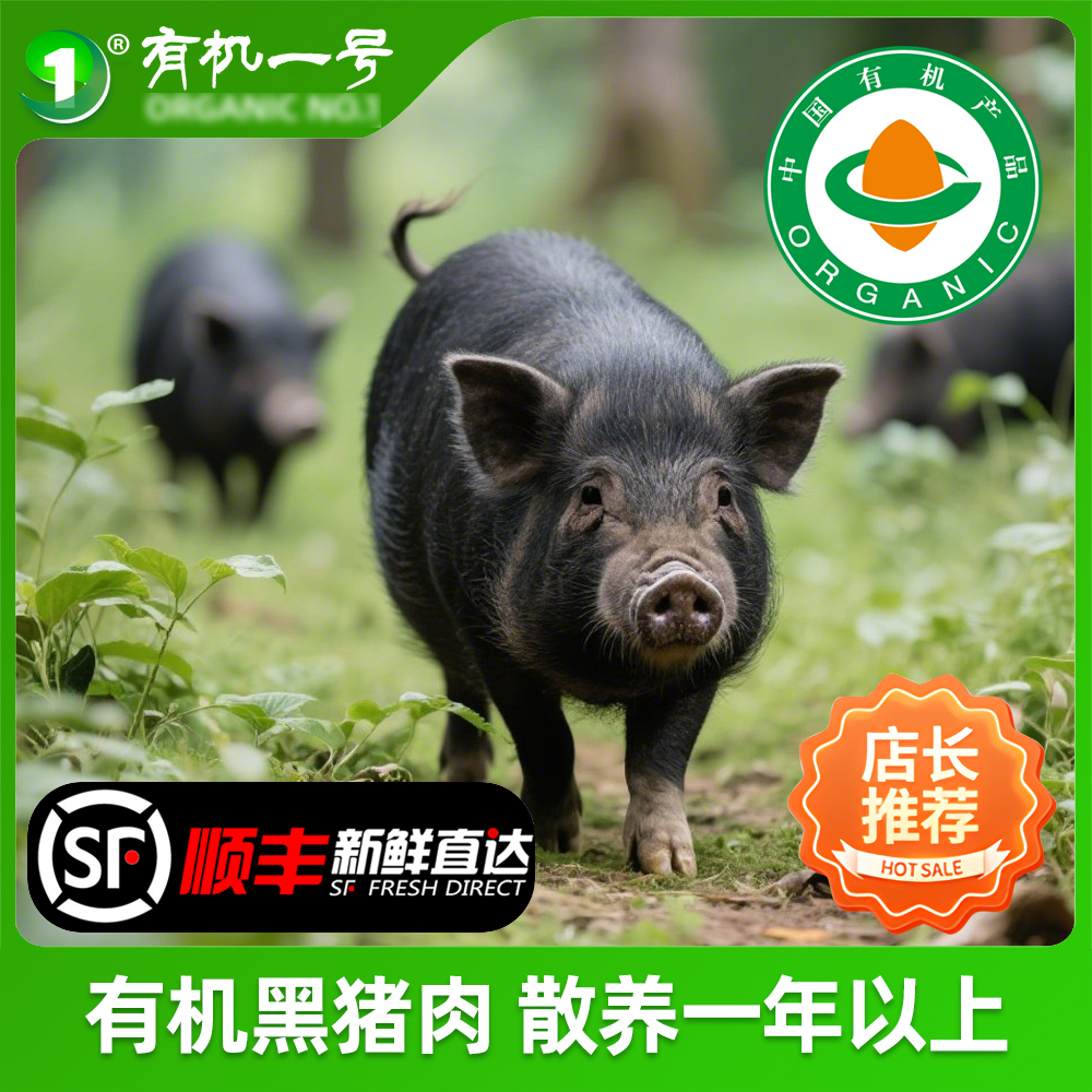 山林散养有机跑山黑猪肉顺丰包邮认证口感好无抗散养有机土猪肉