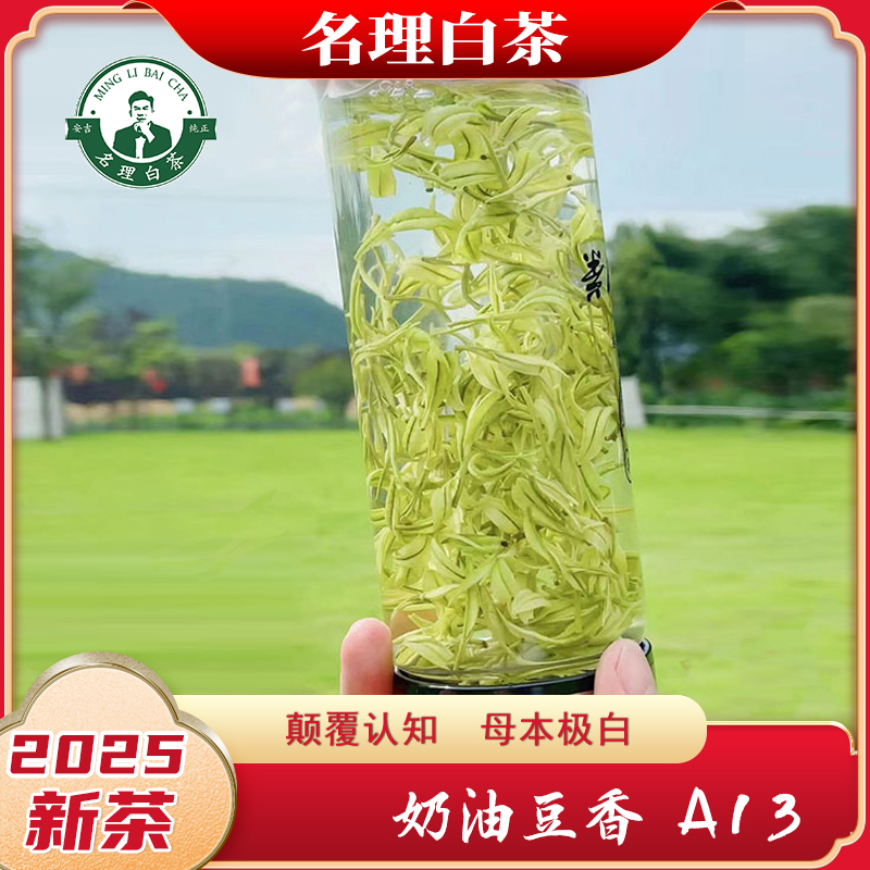 名理白【A13】2025新茶极白豆香甘甜安吉原产地白茶品鉴特级茶叶