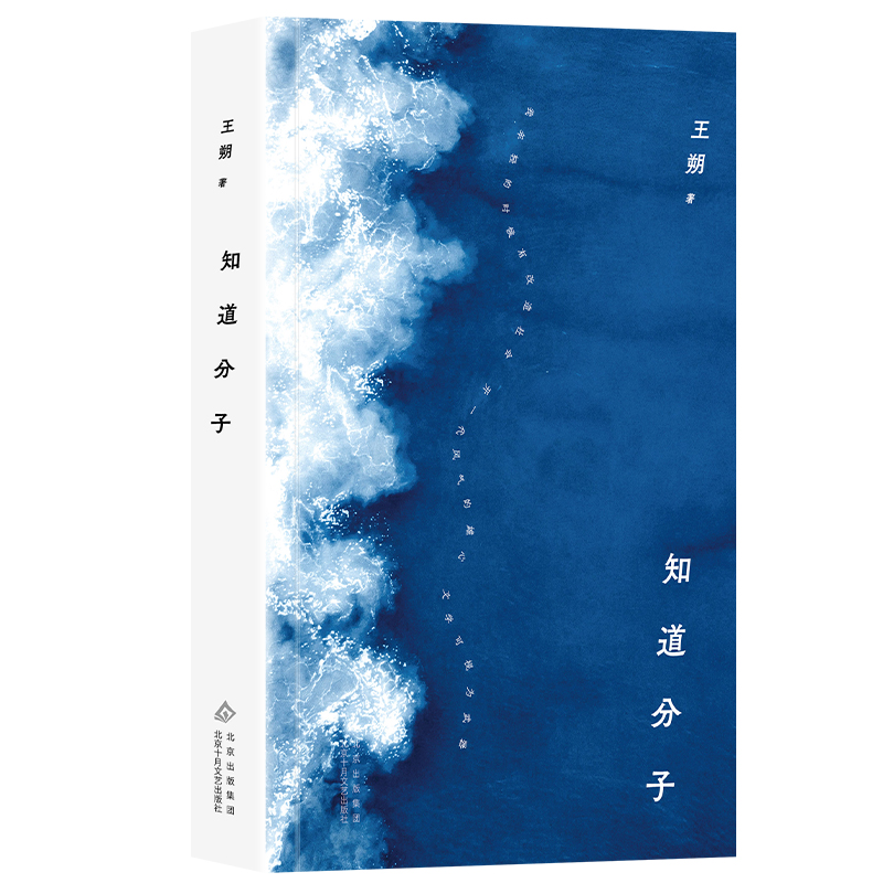知道分子 王朔随笔集 中国现当代文学佳作