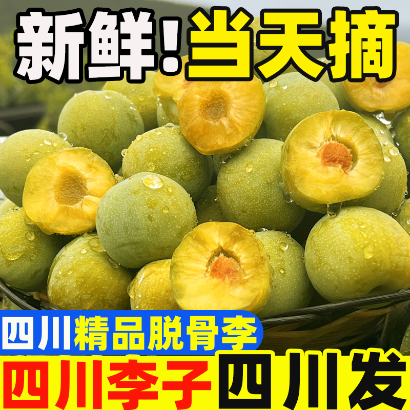 正宗四川脱骨青脆李新鲜水果土李子儿时味道孕妇货空心蜂糖李
