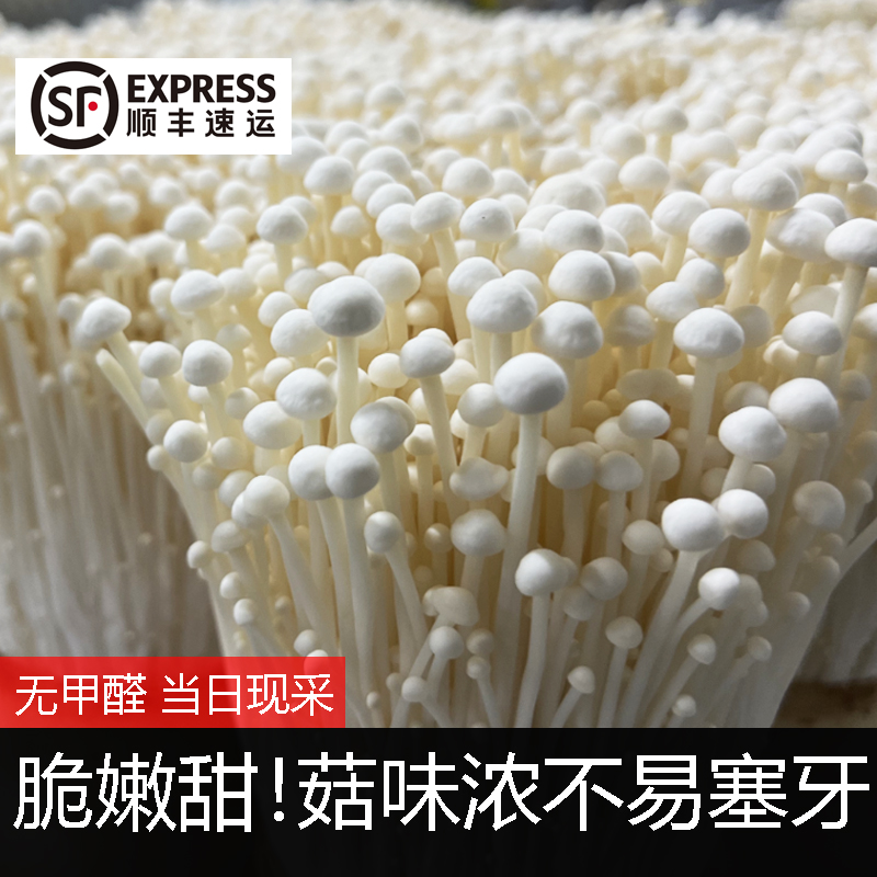 鲜嫩[金针菇/黄色金针菇/有机香菇/鹿茸菇/]火锅组合无甲醛顺丰发
