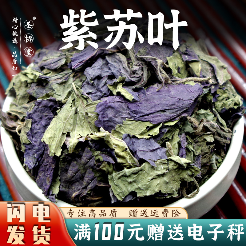 中药材苏叶 泡水 苏子叶红紫苏烧鱼虾蟹去腥 海鲜香料紫苏叶大叶