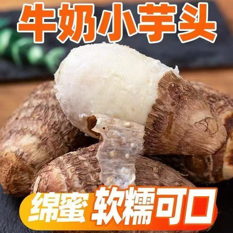 正宗鲜奶油批发芋头新鲜整箱现挖小毛芋头牛奶芋仔蔬菜香芋芋艿