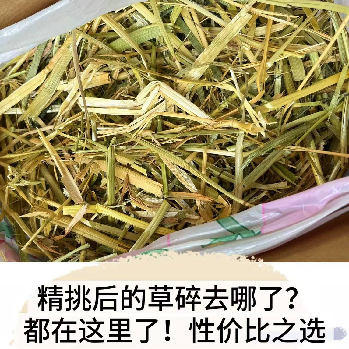 黄金澳麦草草碎草段粗纤维粗侏儒兔荷兰猪兔子主食进口澳洲燕麦