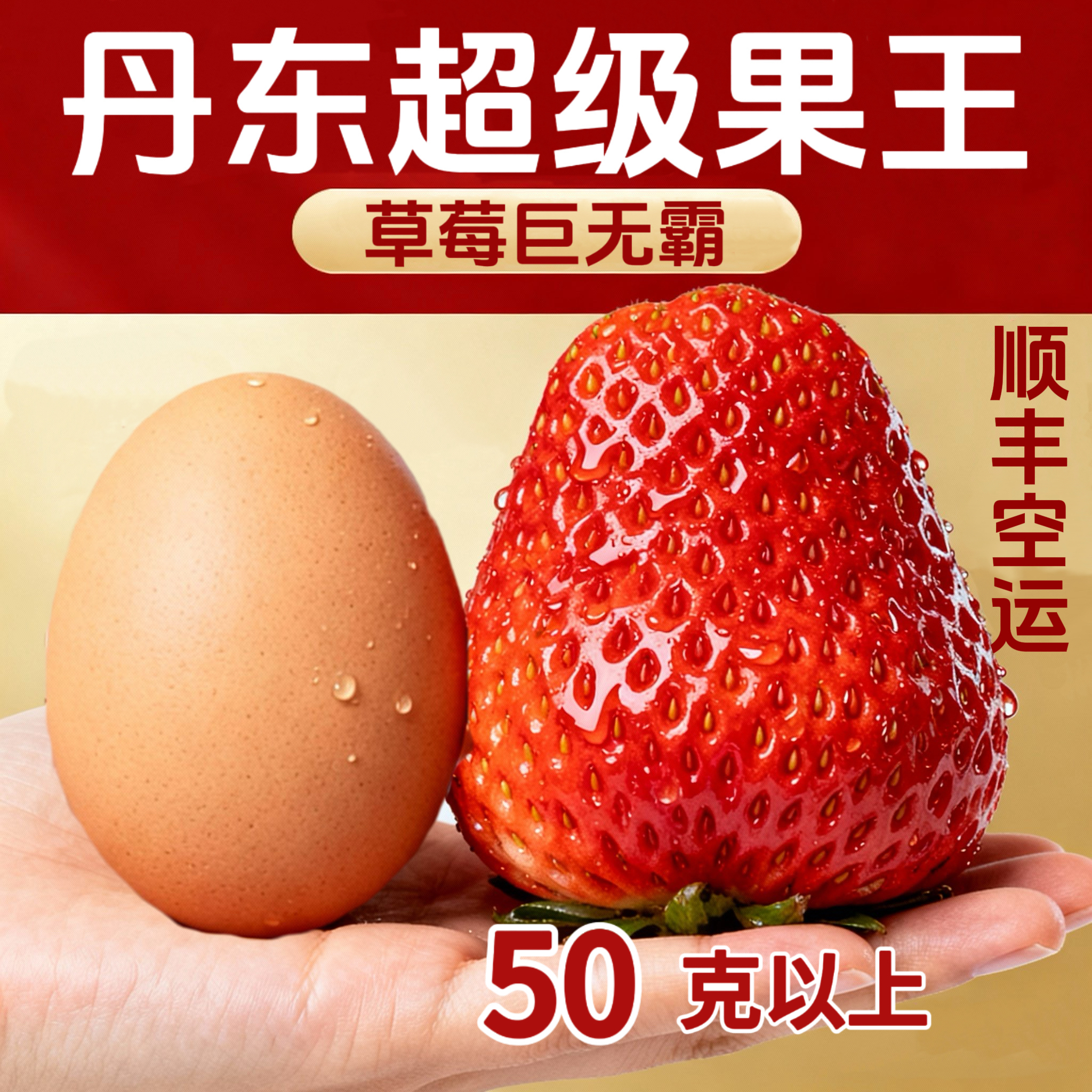 【丹东九九草莓巨无霸】单果50克以上超级果王顺丰空运送礼新鲜采摘