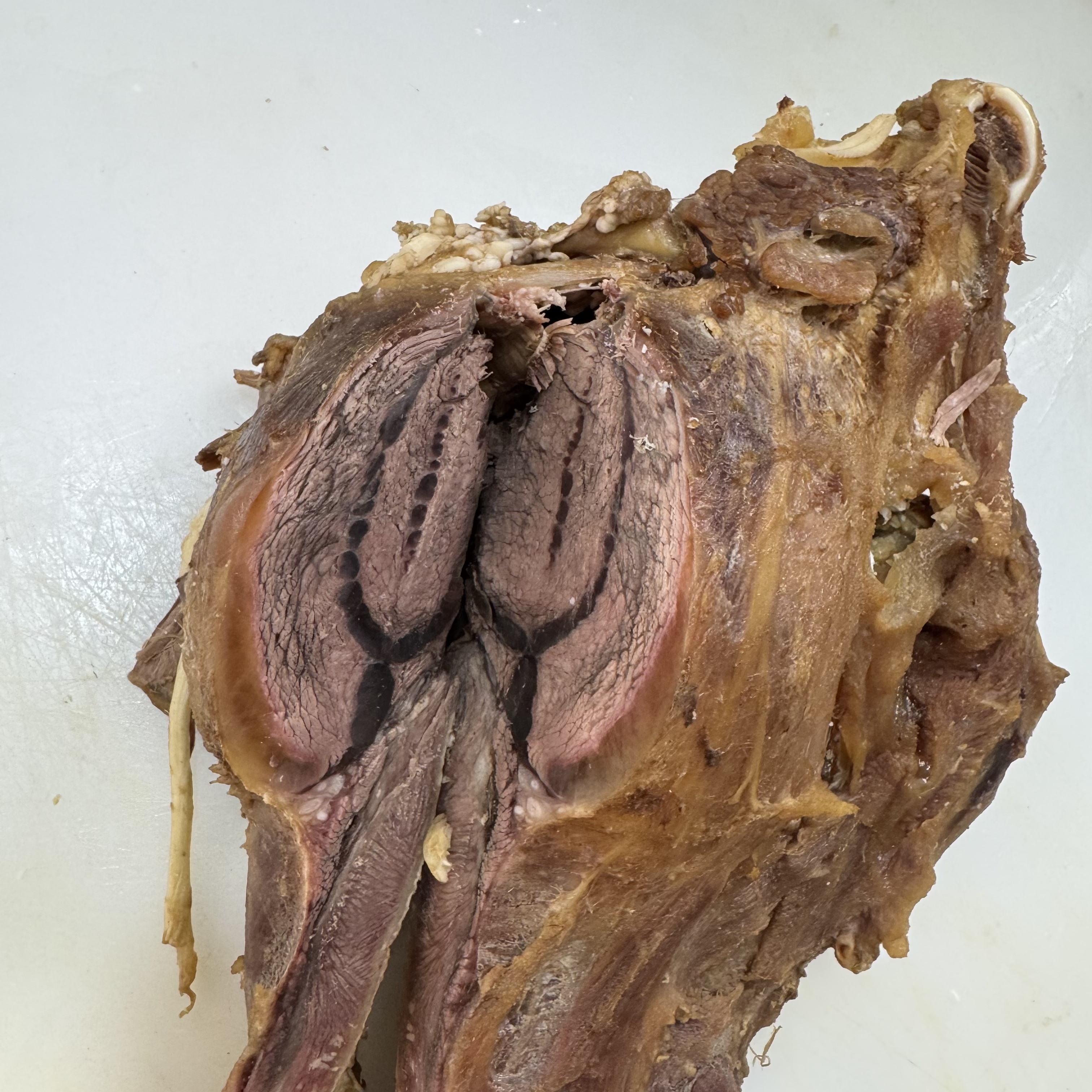 清真五香牛头肉 五香全熟 嘎嘎好吃嘎嘎香 顺丰包邮（速冻发货）