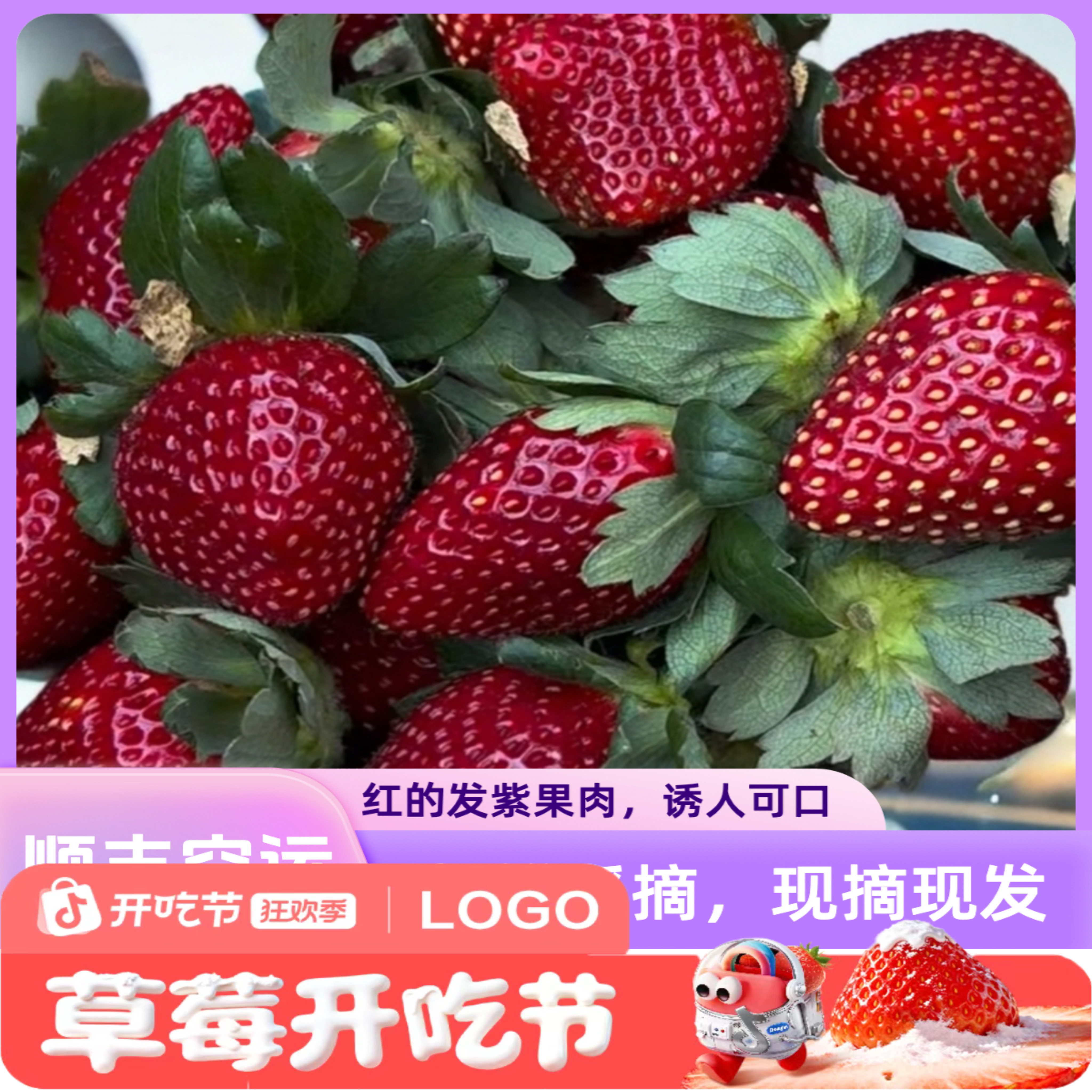【草莓开吃】云南高原黑珍珠草莓露天种植现摘现发送货上门