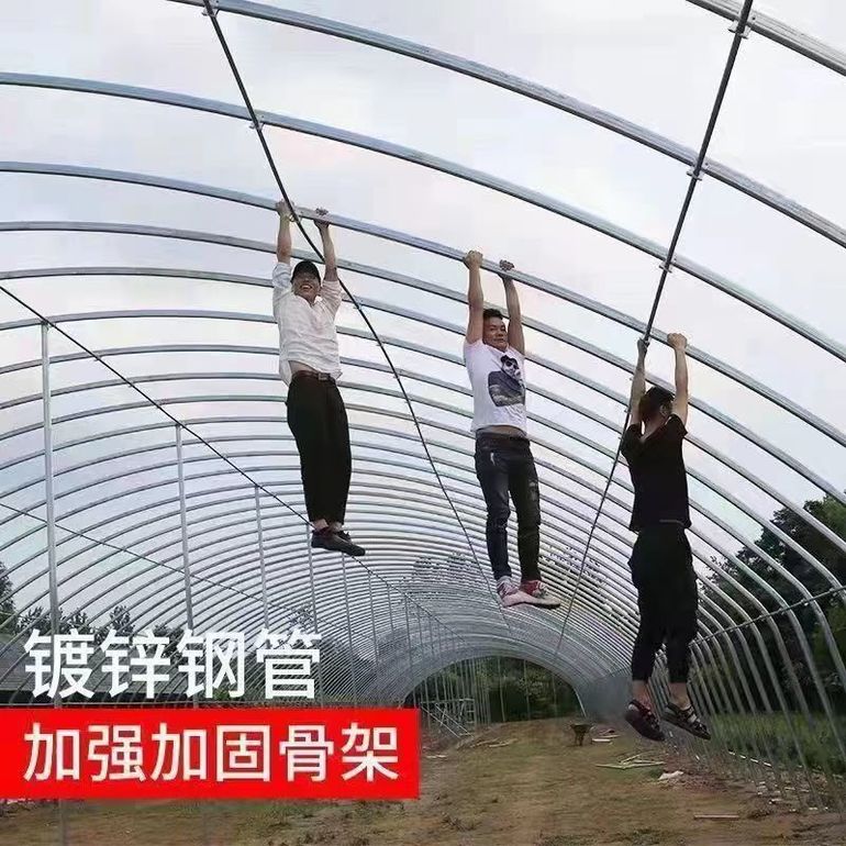 种植蔬菜大棚骨架温室养殖保温大棚全套种植大棚养鸡鸭鹅大棚骨架