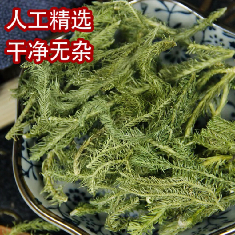 【村长严选】源自农家【伸筋草】