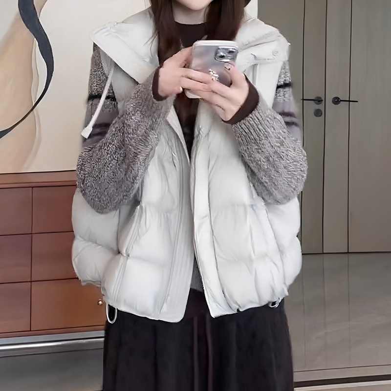 2025冬季新款女士叠穿马甲韩系时尚简约百搭夹棉加厚无袖背心潮