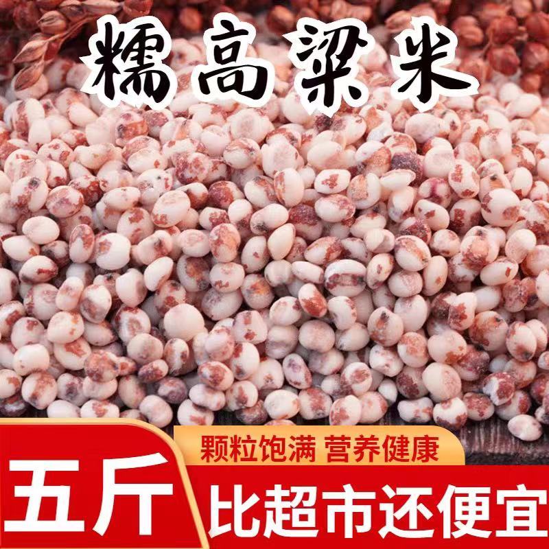 【2025年新米】东北红粘高粱米农家新米黏糯高粱特产五谷杂粮