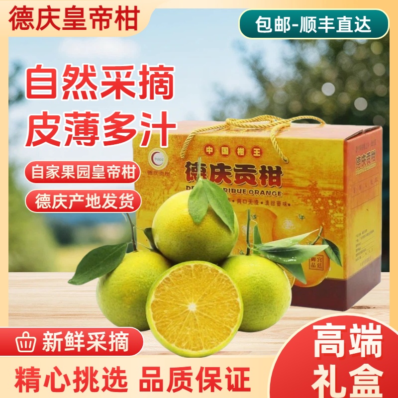 顺丰包邮  德庆 皇帝柑 德庆贡柑  皮薄多汁当季水果批发礼盒装