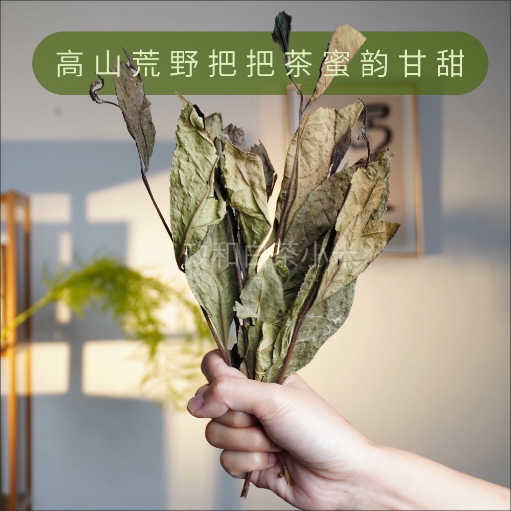 2021老白茶寿眉高山老树春茶荒野头春头采