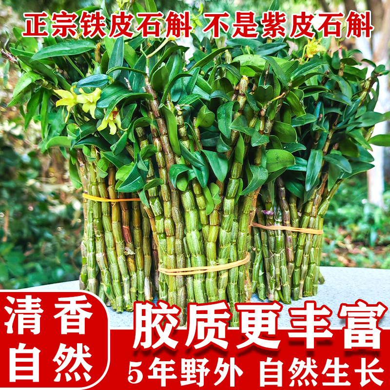 霍山原产铁皮石斛5年鲜条新鲜现采摘正宗仿野生新鲜可食用中药材