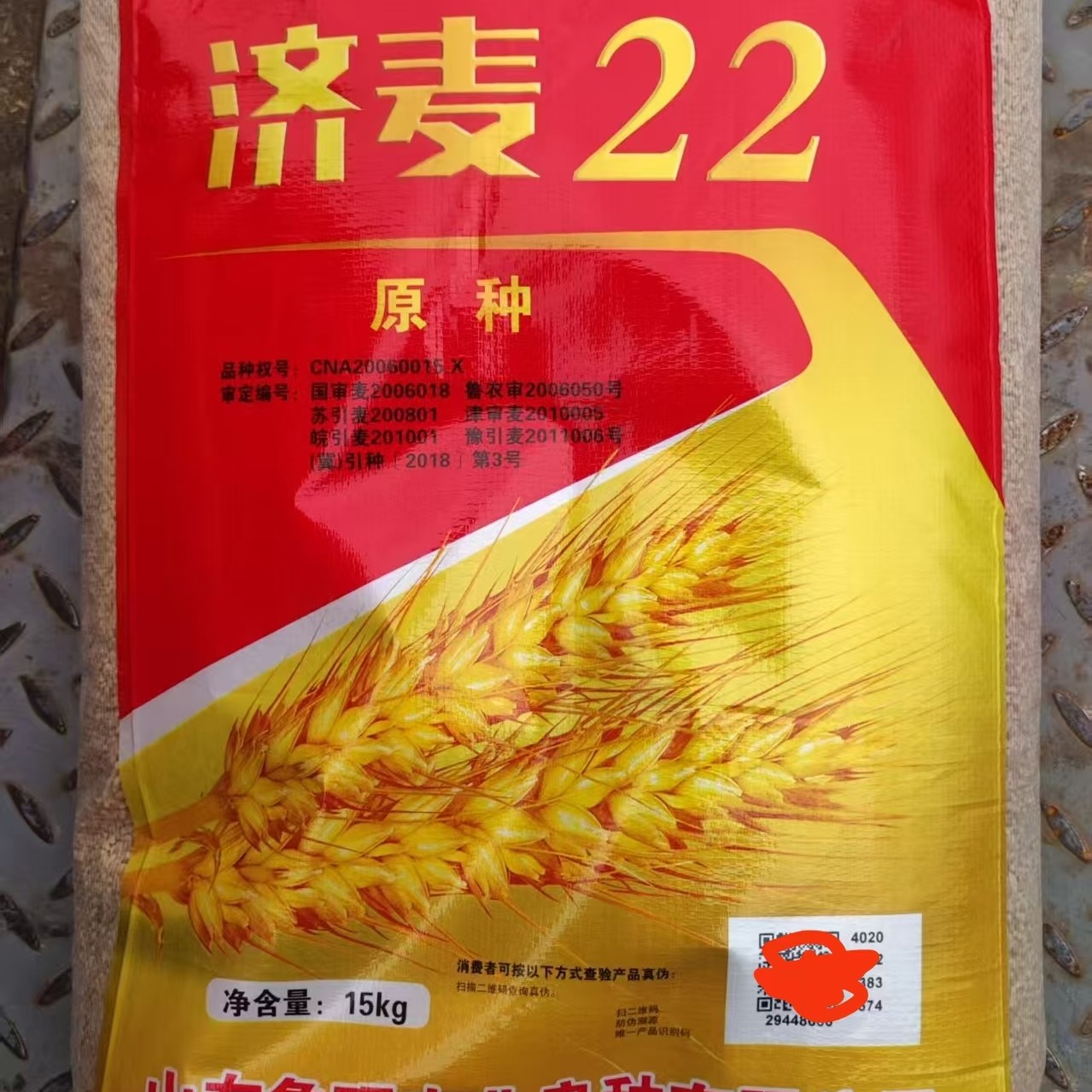 高产稳产抗病抗寒小麦原种济麦22