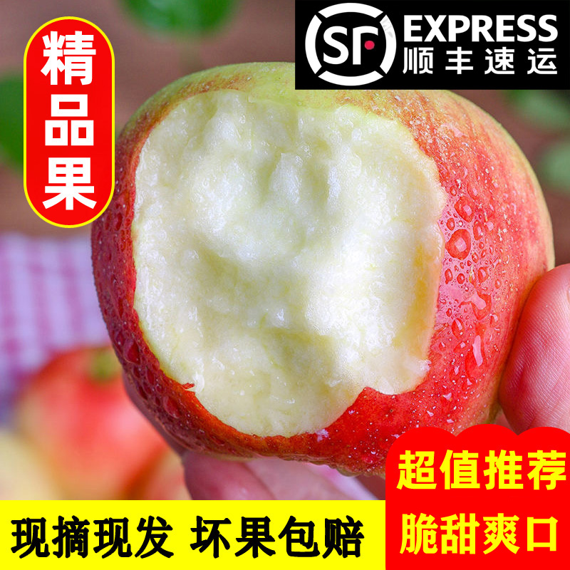 果中邢【顺丰】2025年早熟红苹果水果新鲜应季嘎啦拉正丑苹果富士
