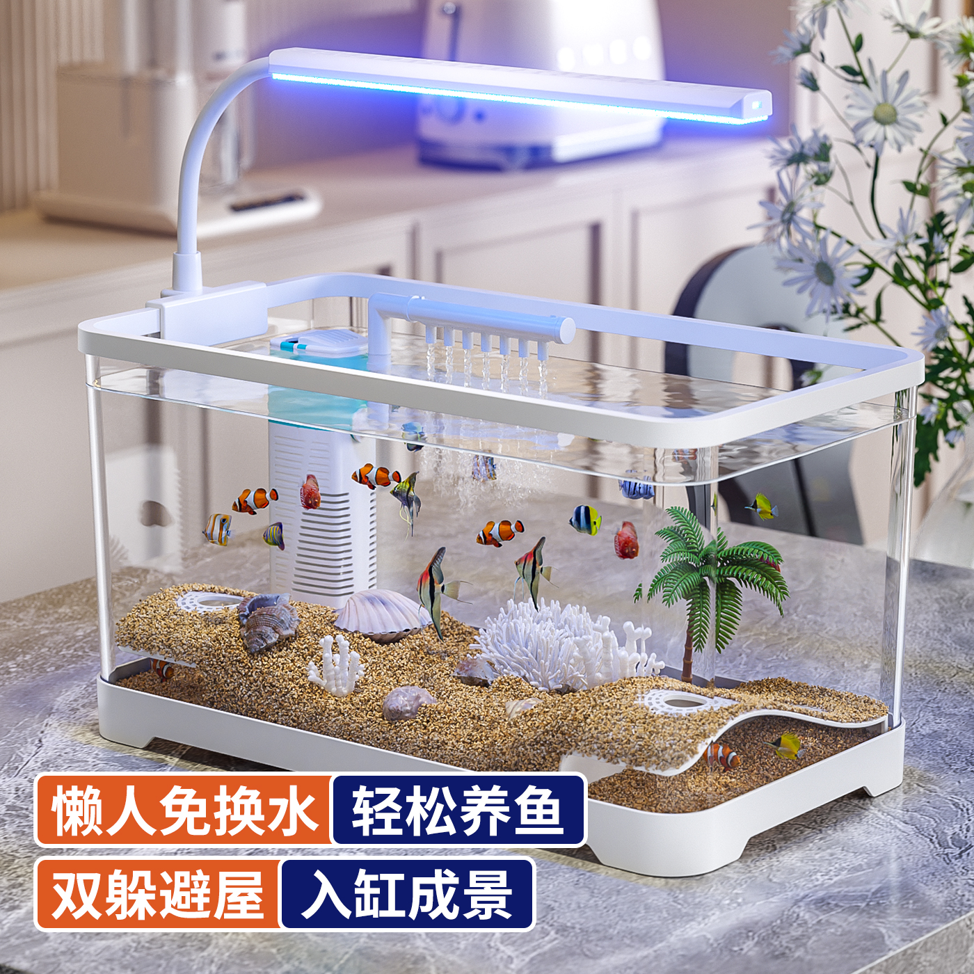 多物种生态缸小型过滤生态造景网红装饰摆件白鱼缸鱼缸家用小型