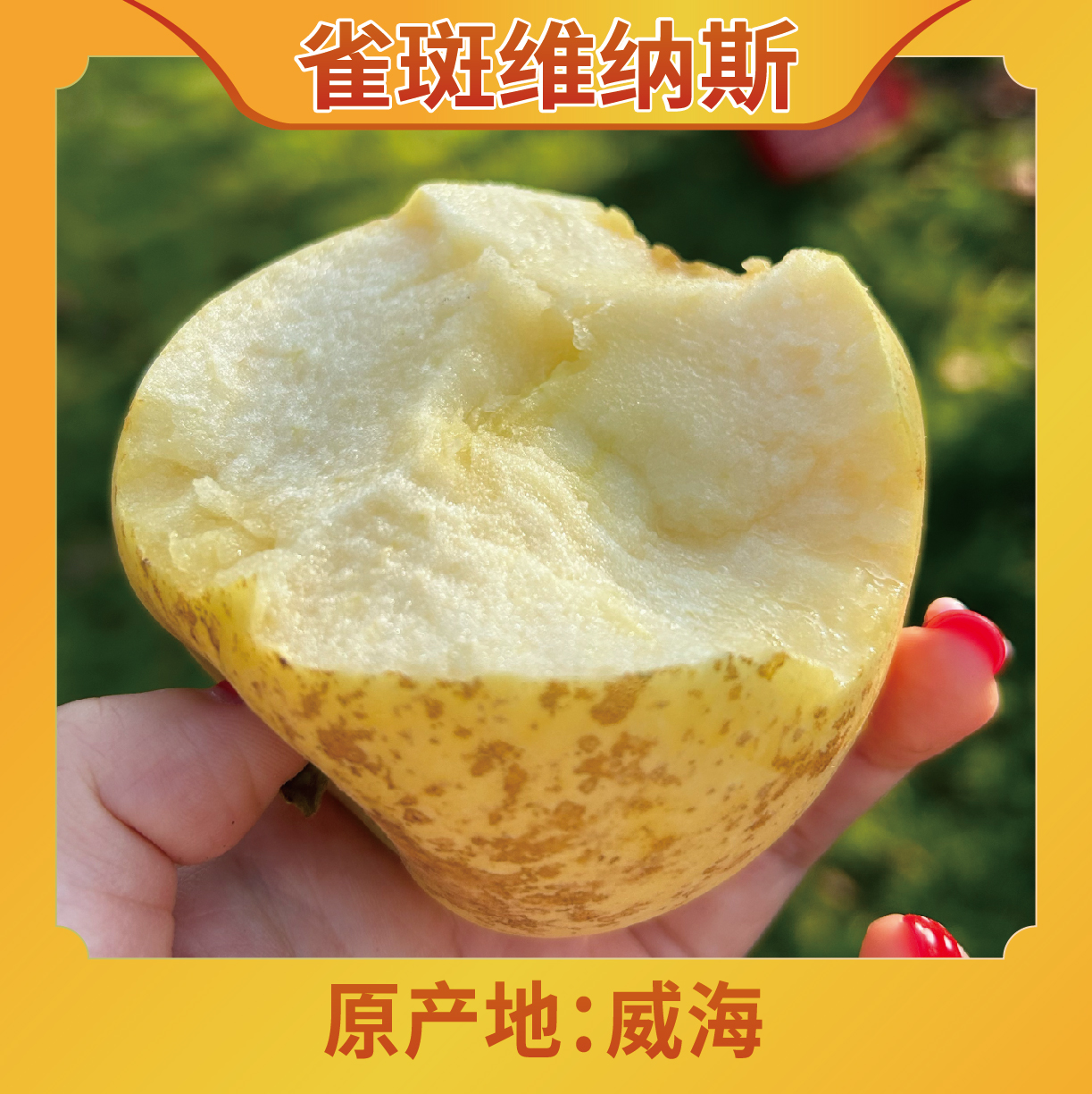 【老粉专属折扣】正宗威海雀斑维纳斯苹果当季水果脆甜多汁