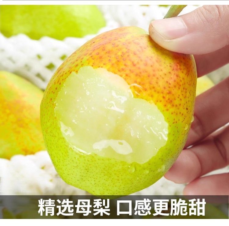 【脆甜多汁】正宗库尔勒香梨特级梨新鲜香甜口感细腻多汁8斤礼盒装