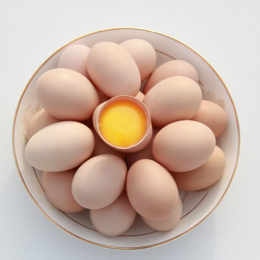 禽之宝琅琊鸡活鸡蛋，卵磷脂，叶黄素丰富，0抗生素，0激素，可生食。