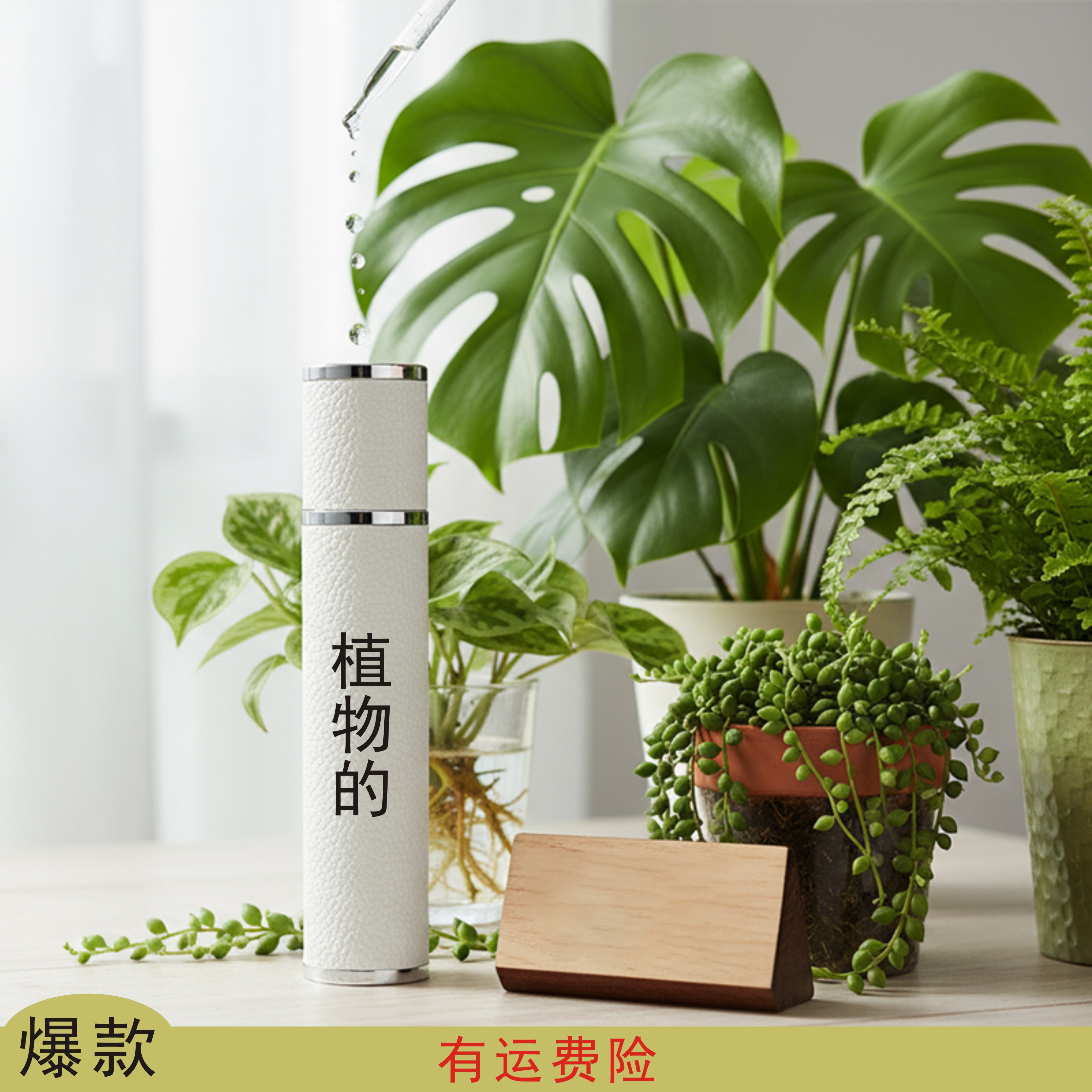 【弄花老司机必备】【菲宝】根部营养液护理滋润长效通用型根壮猛生根