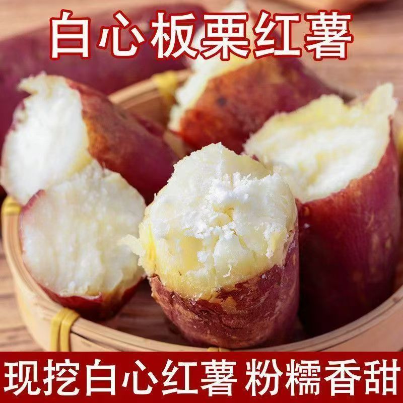 四川正宗白心板栗薯红薯新鲜老品种红皮白肉番薯地瓜山芋粉糯干面