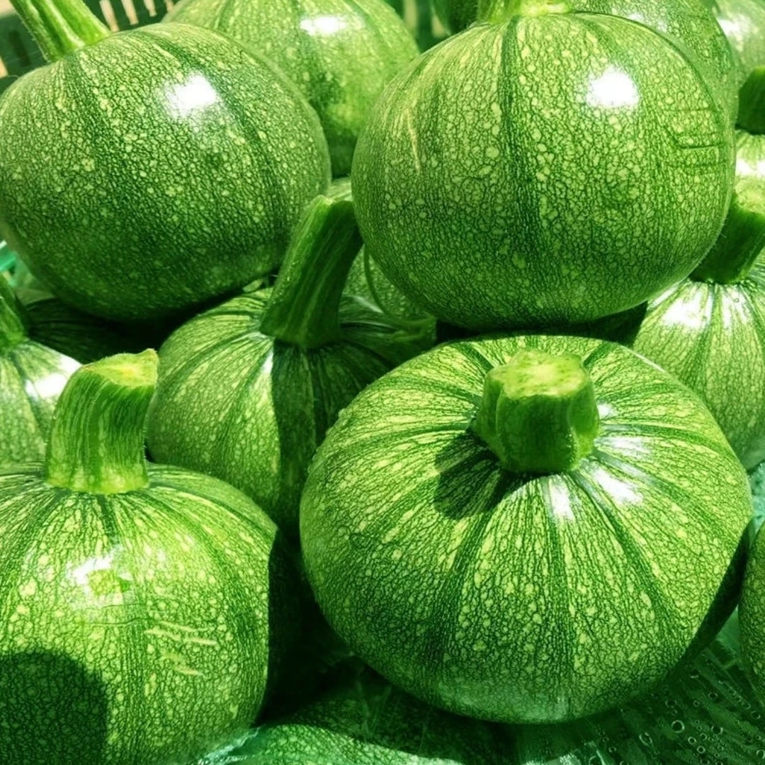 云南小圆瓜绿皮嫩南瓜新鲜现摘的农家特色蔬菜