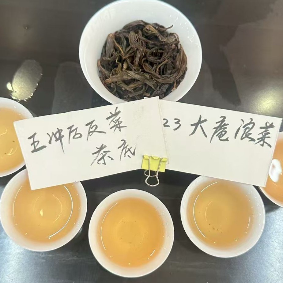 炭焙凤凰单丛乌岽单丛大庵浪菜50g