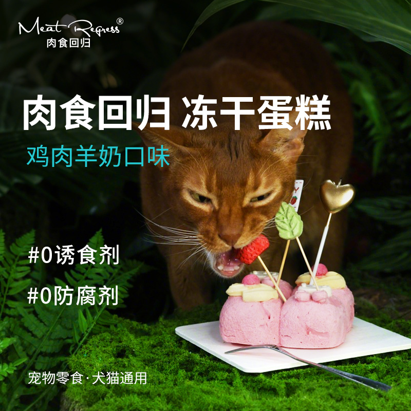 肉食回归宠物生日蛋糕纯冻干零食猫咪生日蛋糕狗狗生日蛋糕小猫