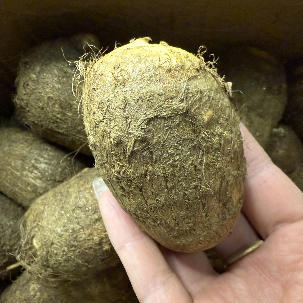 新鲜现挖山东莱阳大个头牛奶芋头软糯粉面香