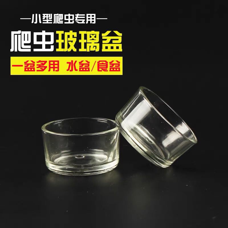 爬宠守宫防翻玻璃防破食盆小仓鼠食盒龙猫金丝熊吃饭碗喂食器水碗