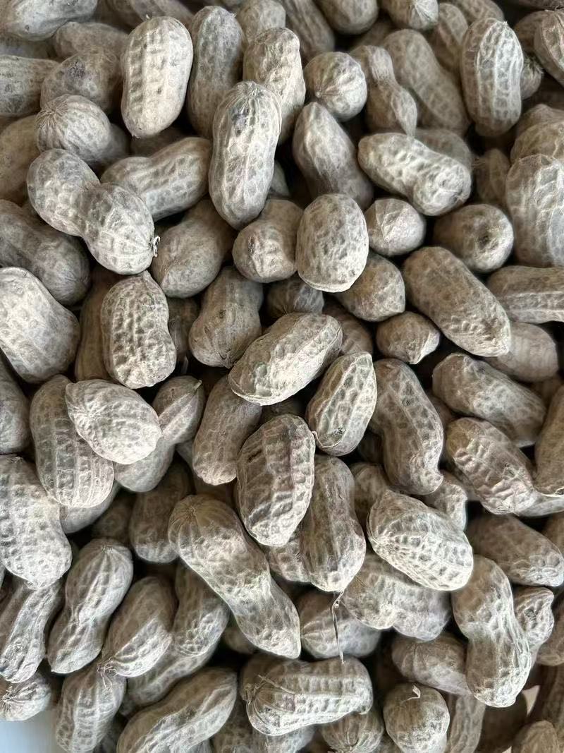 D农家水煮花生水煮日晒