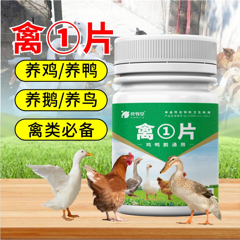 禽一片正品厂家直销鸡鸭鹅禽类养殖鸡鸭鹅通用畜牧添加剂